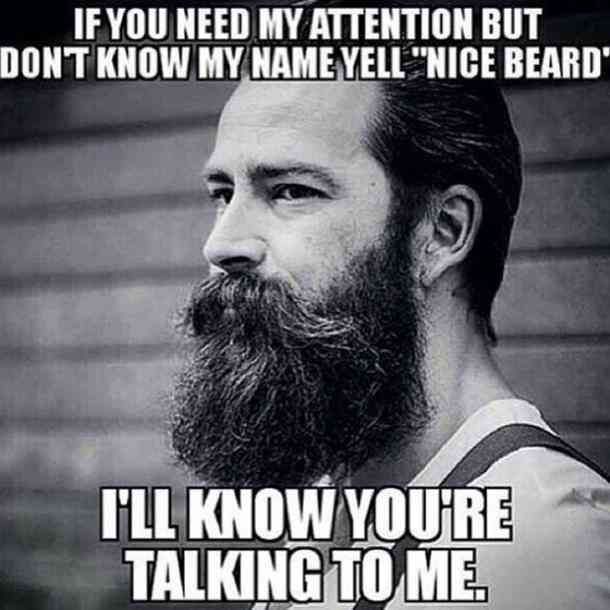 meme bearded man