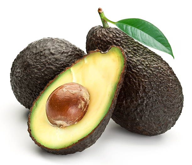 avocado stock photo