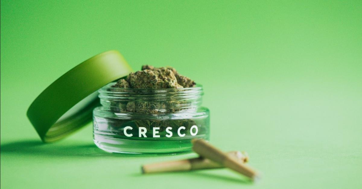 cresco labs stock