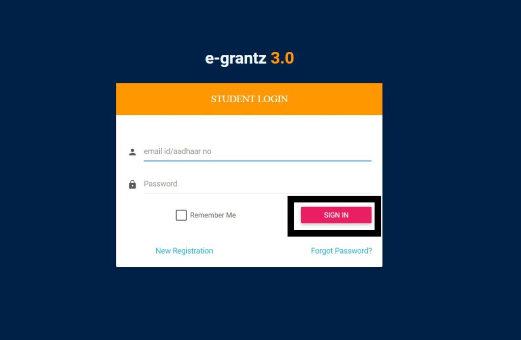 egrants 3.0 track application