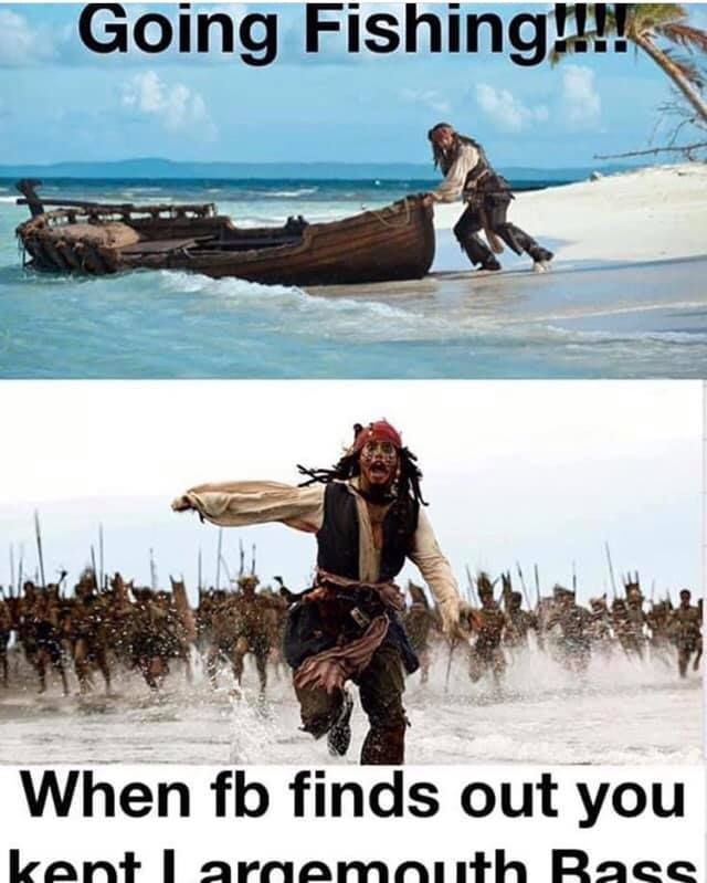 meme fishing