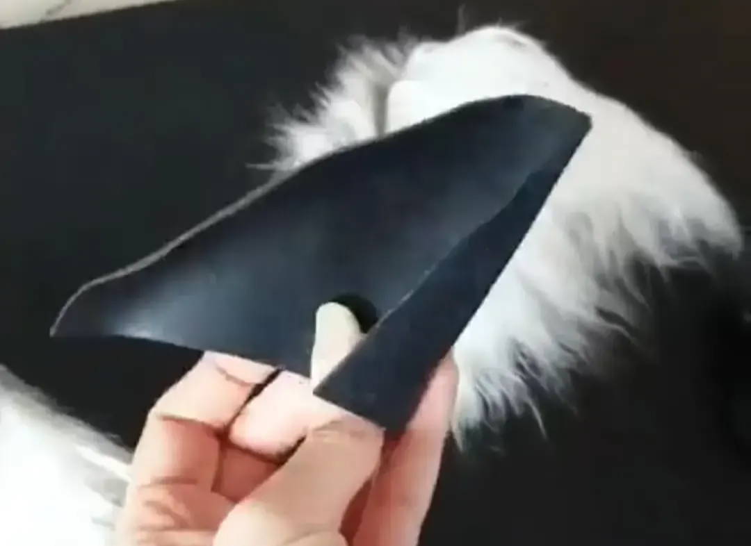 diy wolf ears