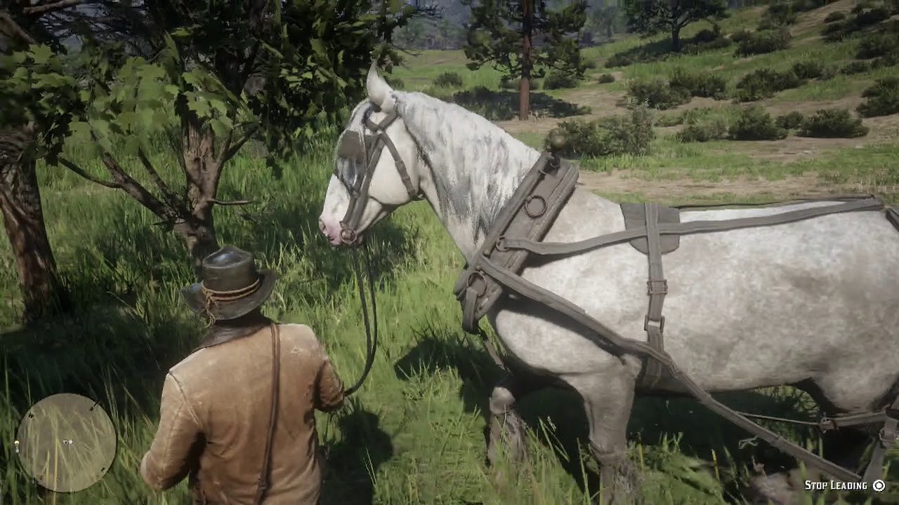 rdr2 pc calm horse