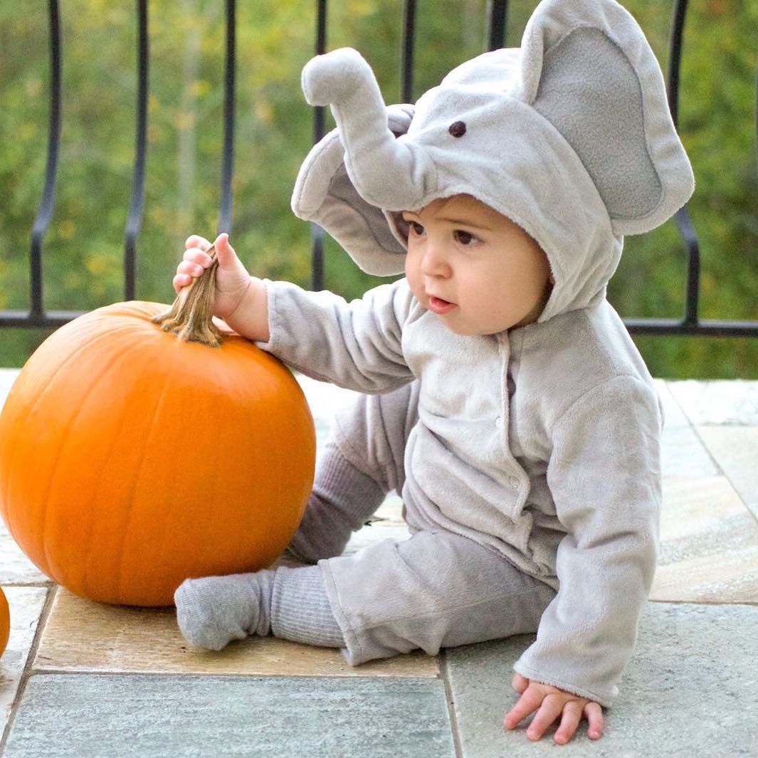 newborn elephant costume