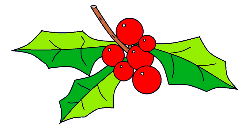 christmas berries clipart
