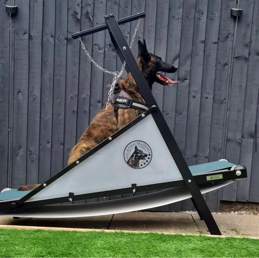 self propelled dog treadmill canada