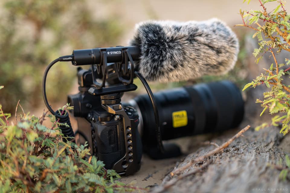 best shotgun microphone