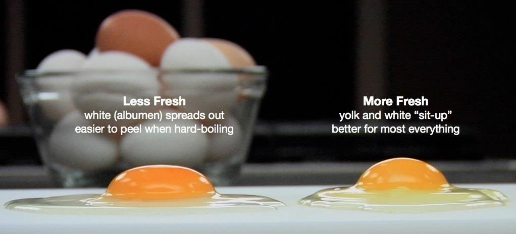 should you eat expired eggs