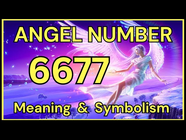 6677 angel number