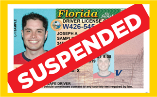 hillsborough drivers license