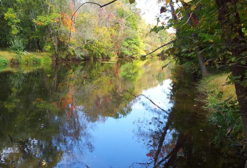 princeton canoe and kayak rental photos