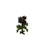 wither rose minecraft wiki