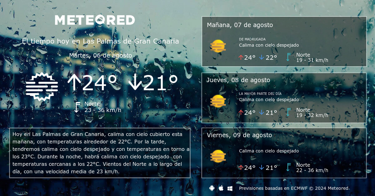 el tiempo en las palmas de gran canaria 14 días