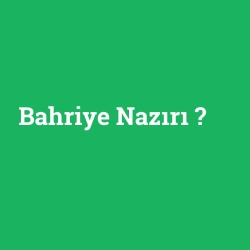 bahriye nazırı ne demek