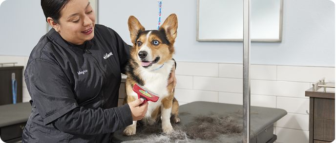 petsmart dog bath