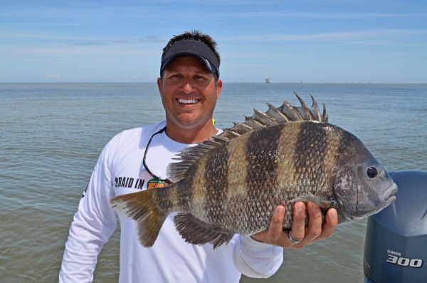 louisiana black drum size limit