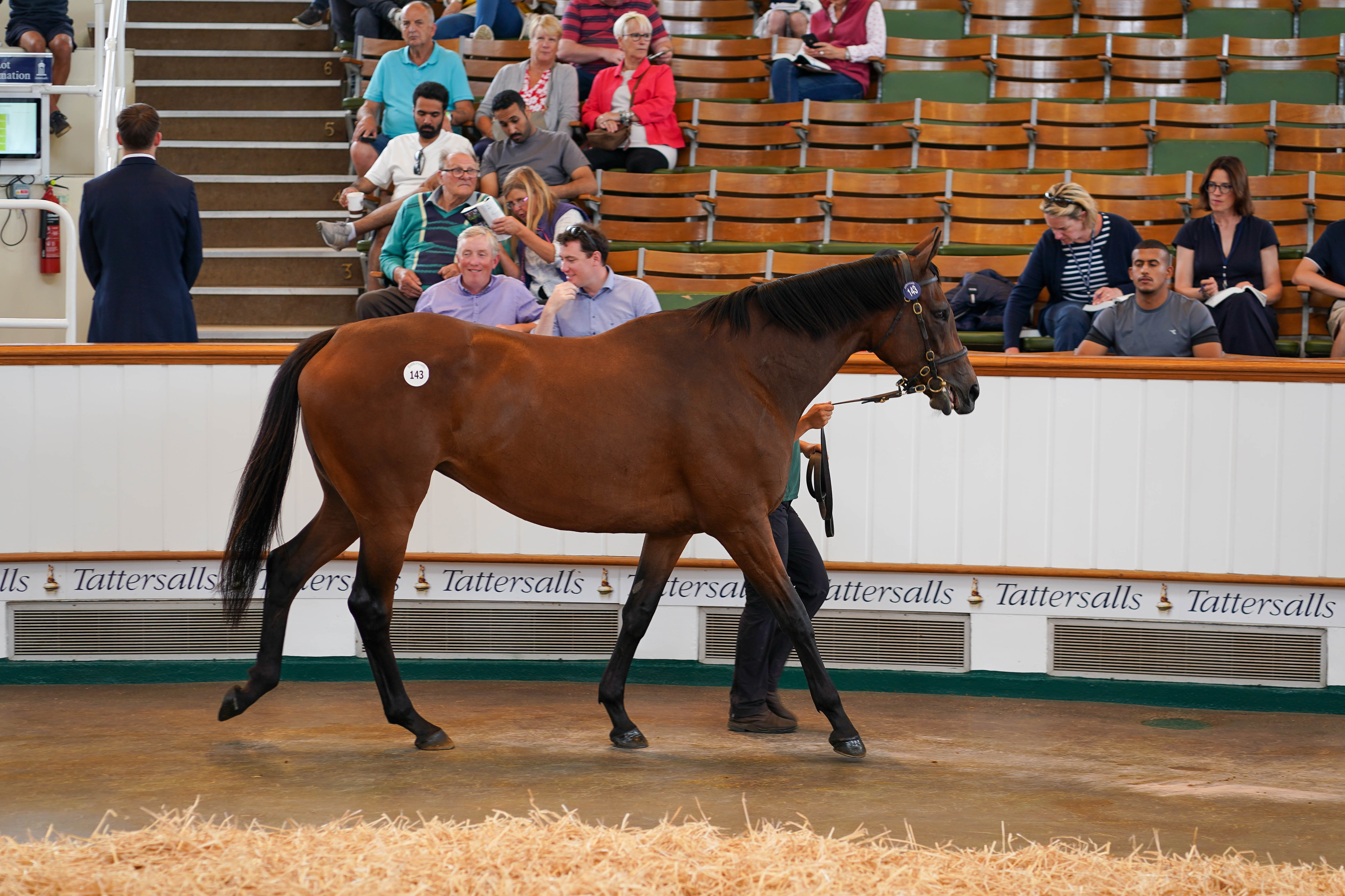 tattersalls july sale 2023