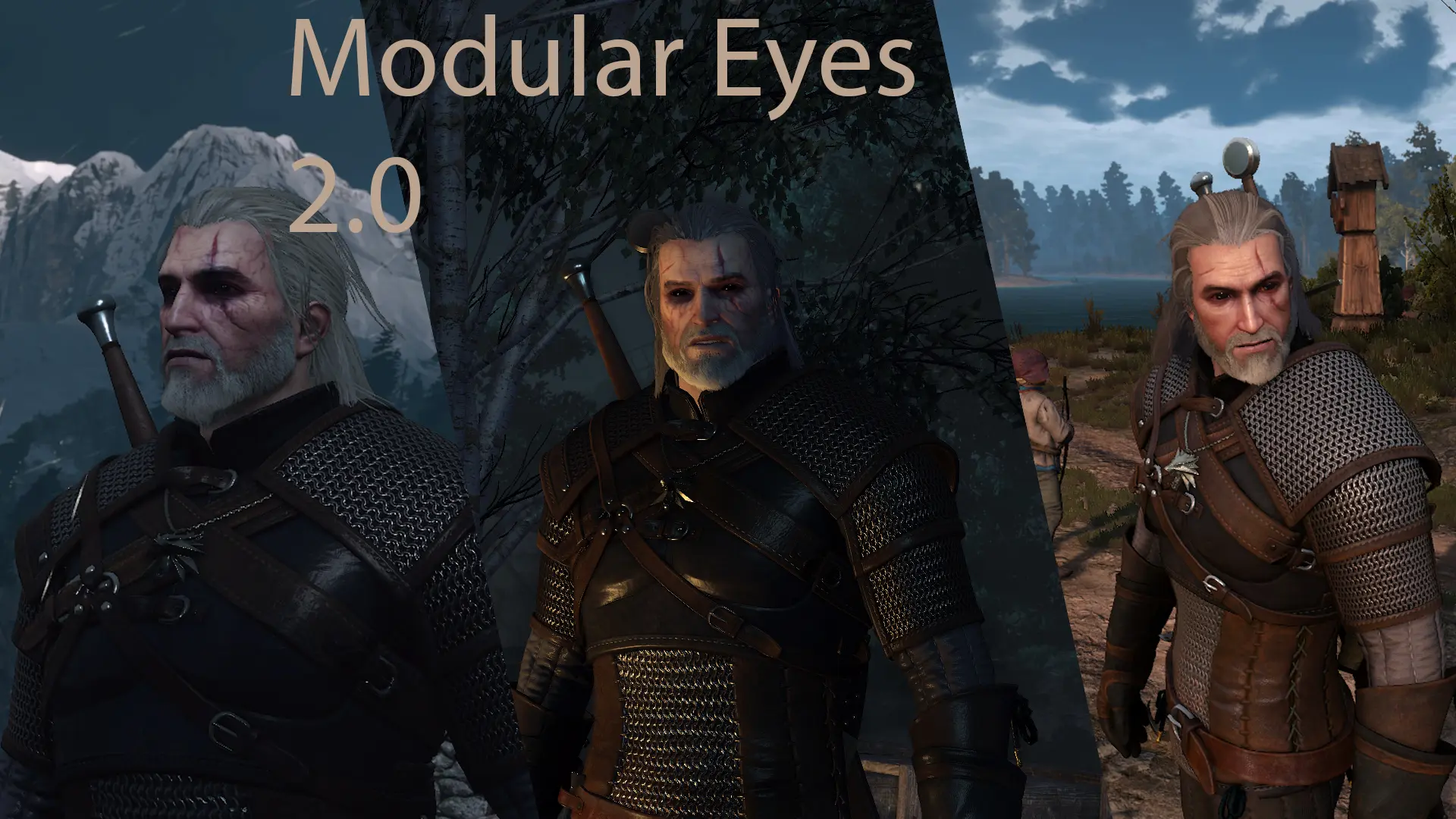 witcher 3 nexusmods