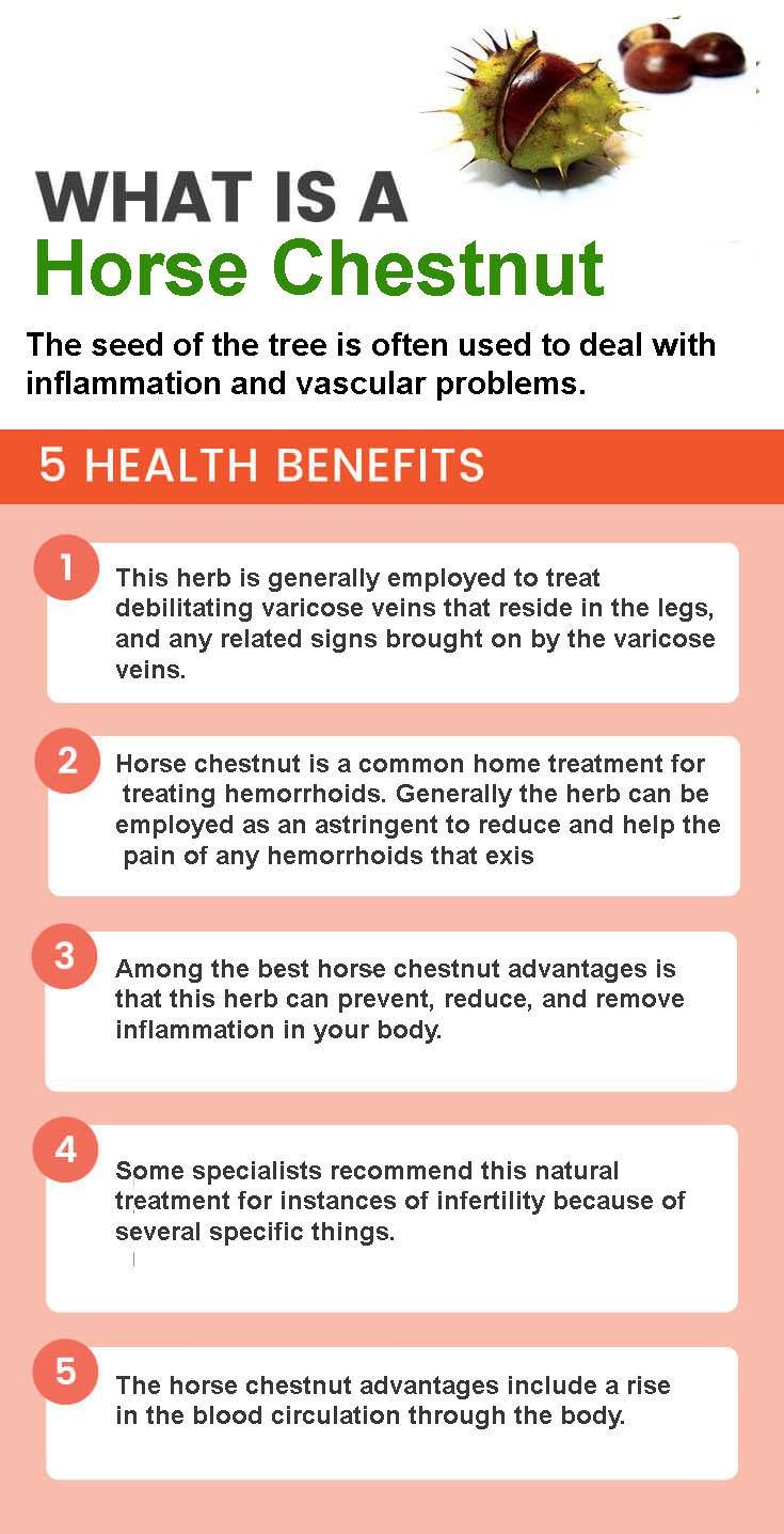 aesculus hippocastanum benefits