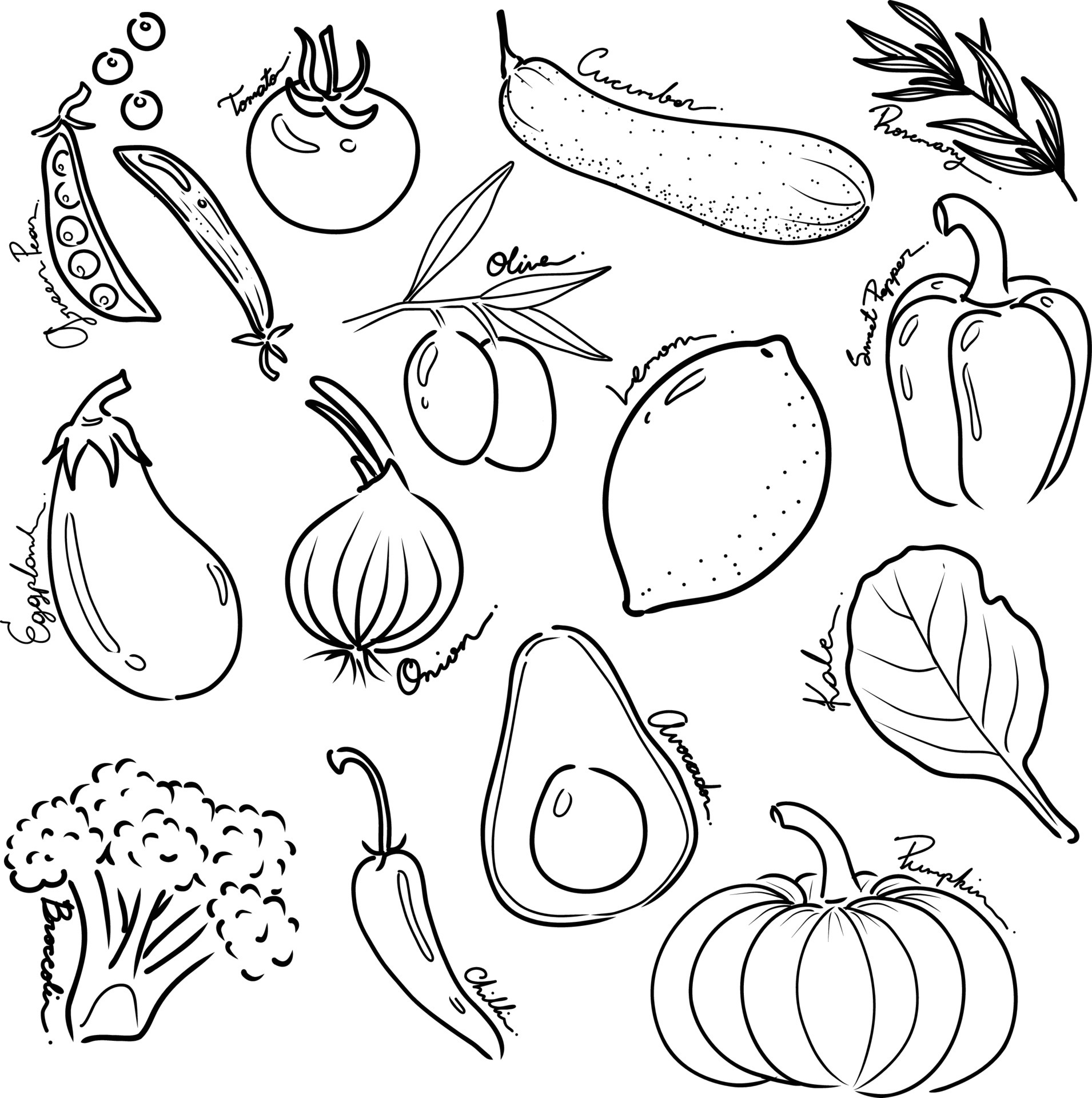 vegetable outline drawing