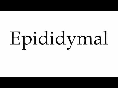 epididymal pronunciation