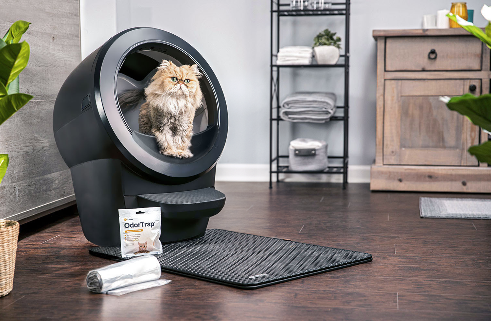 litter robot canada