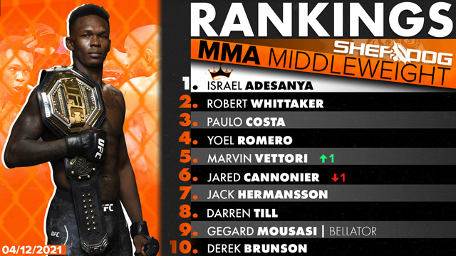 ufc weight rankings