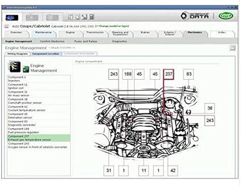 vivid workshopdata