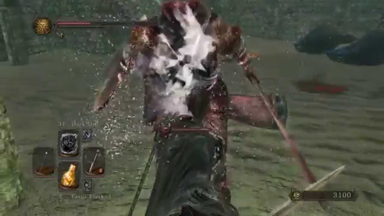 dark souls 2 vengarl body