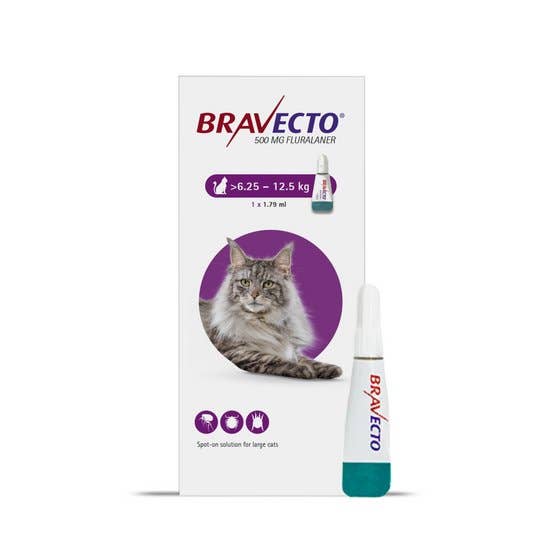 bravecto uk for dogs