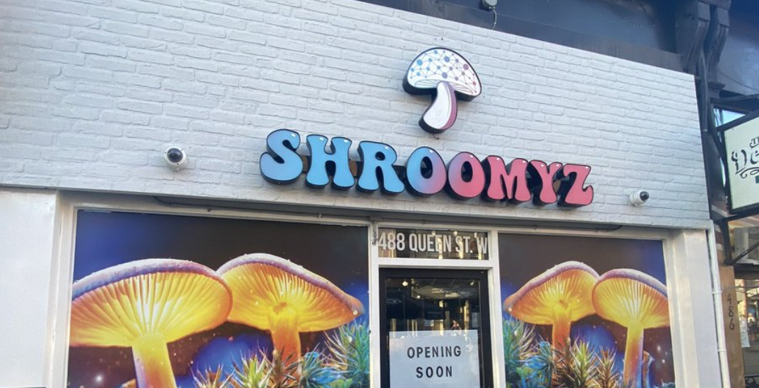 mushroom dispensary seattle