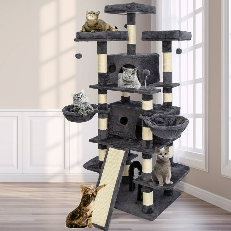 big cat condo