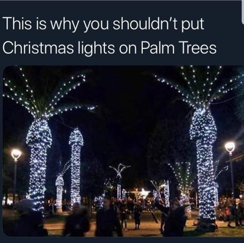 fairy lights meme