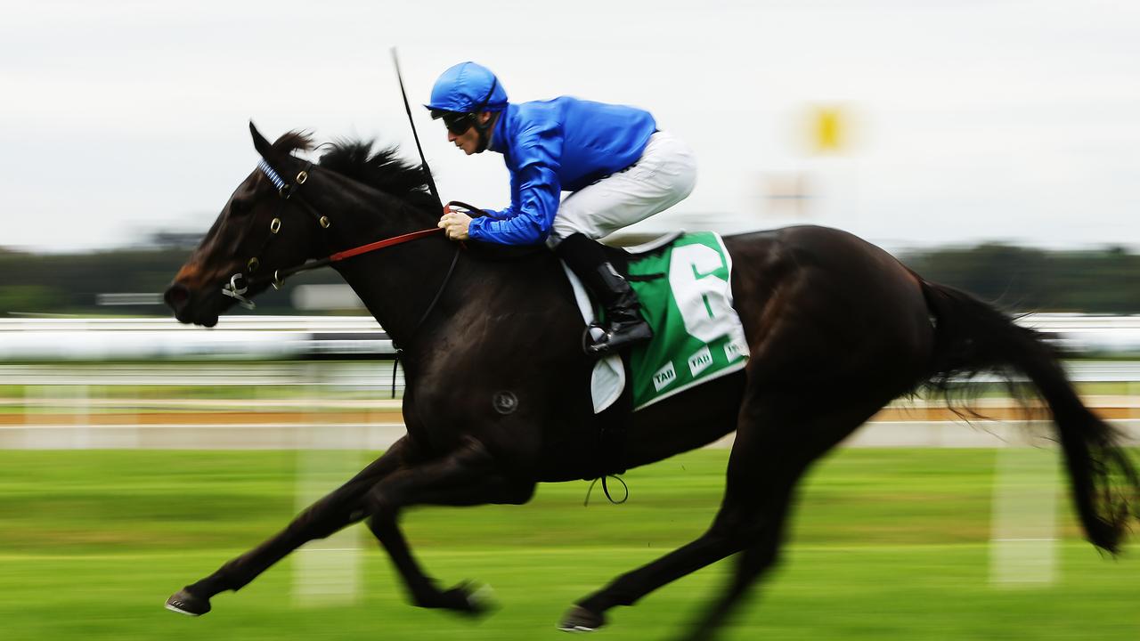 the telegraph horse race