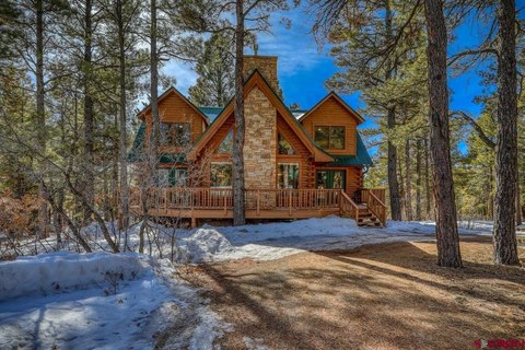 homes for sale pagosa springs co