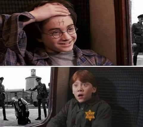 harry potter and the final solution meme