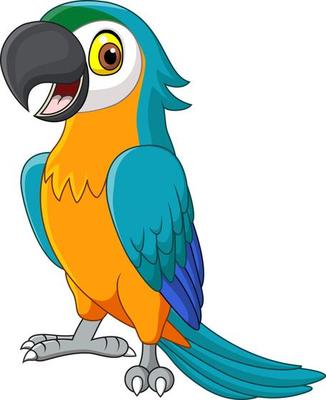 parrot vector