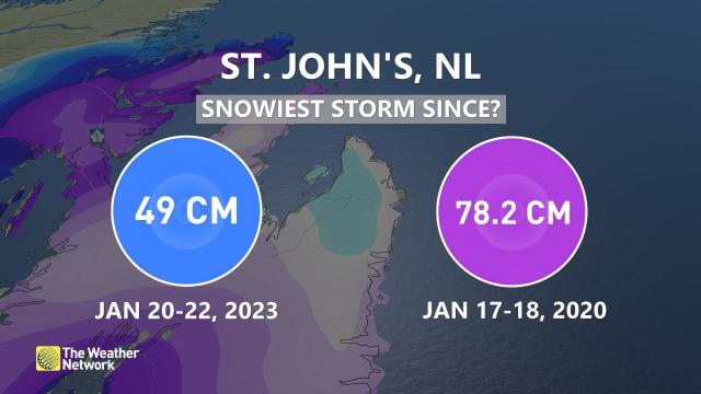 st johns weather network