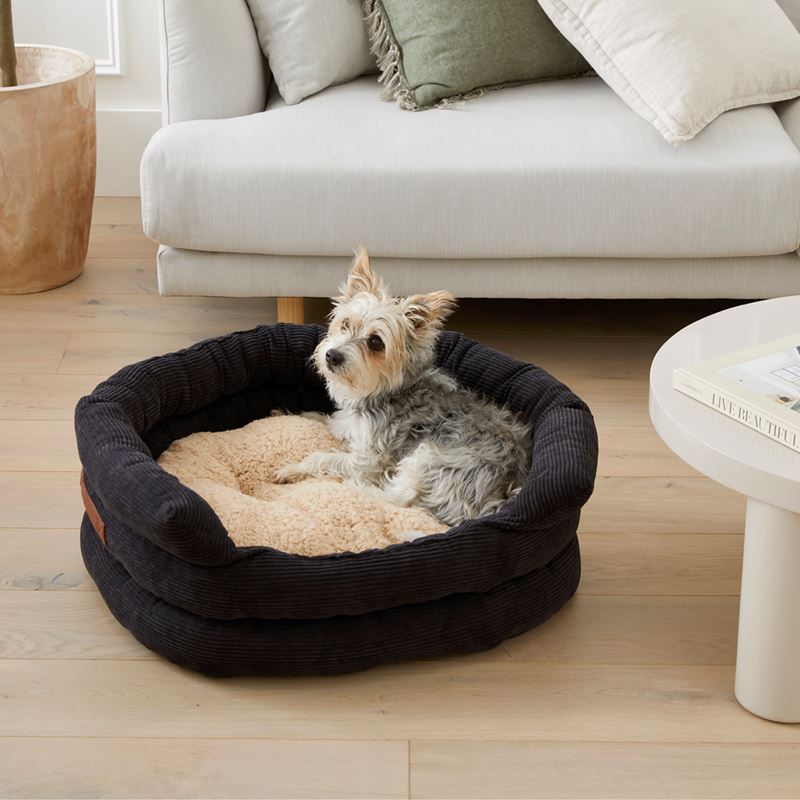 corduroy dog bed