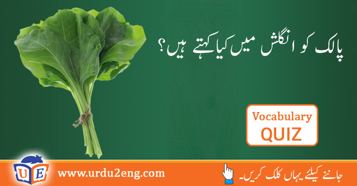 obscure meaning in urdu