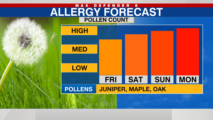 allegy forecast