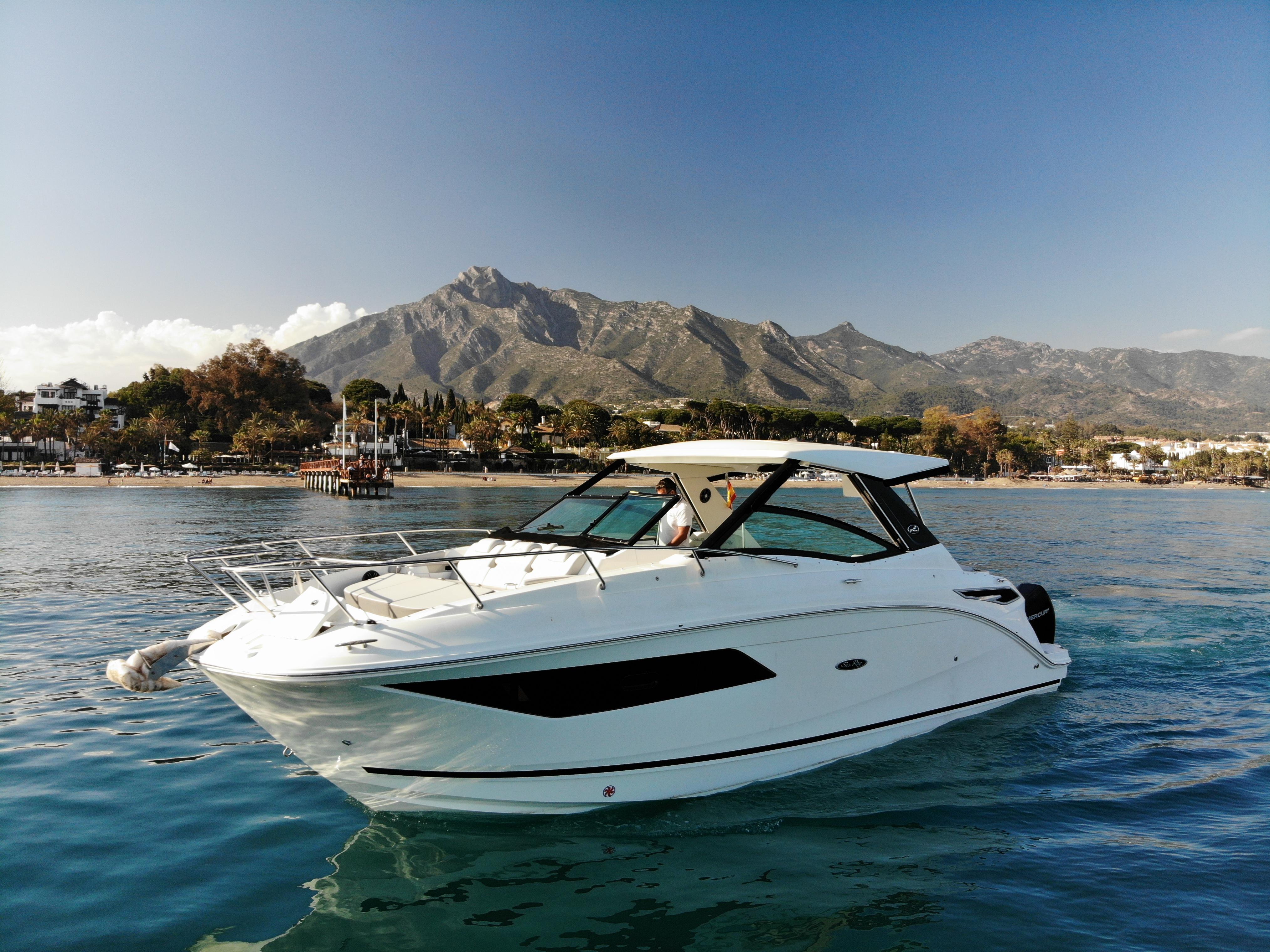 sea ray 320 sundancer