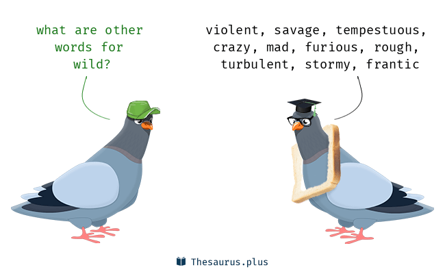 thesaurus for wild
