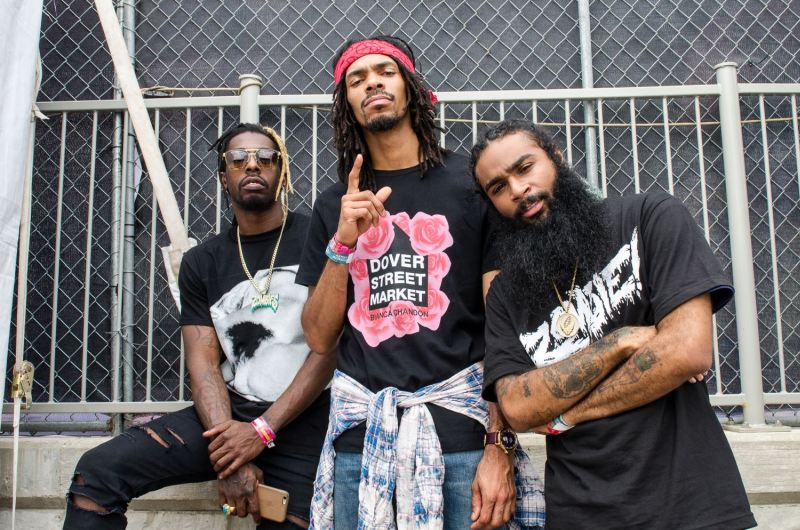 flatbush zombies wikipedia