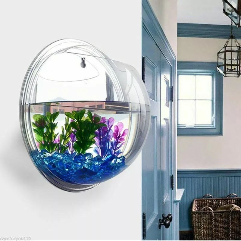 wall hung aquarium