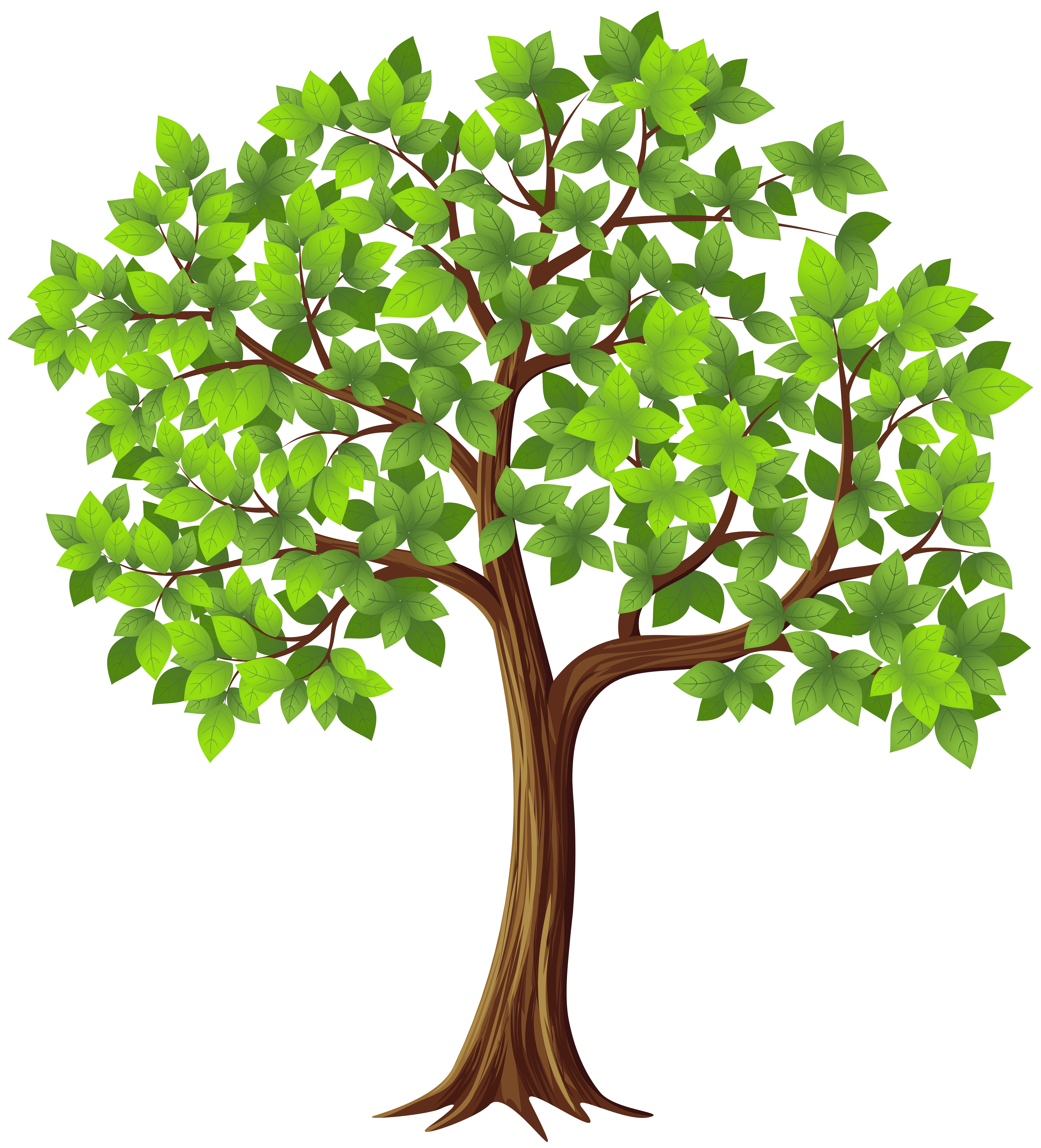 tree transparent clipart