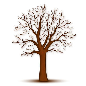 bare tree template