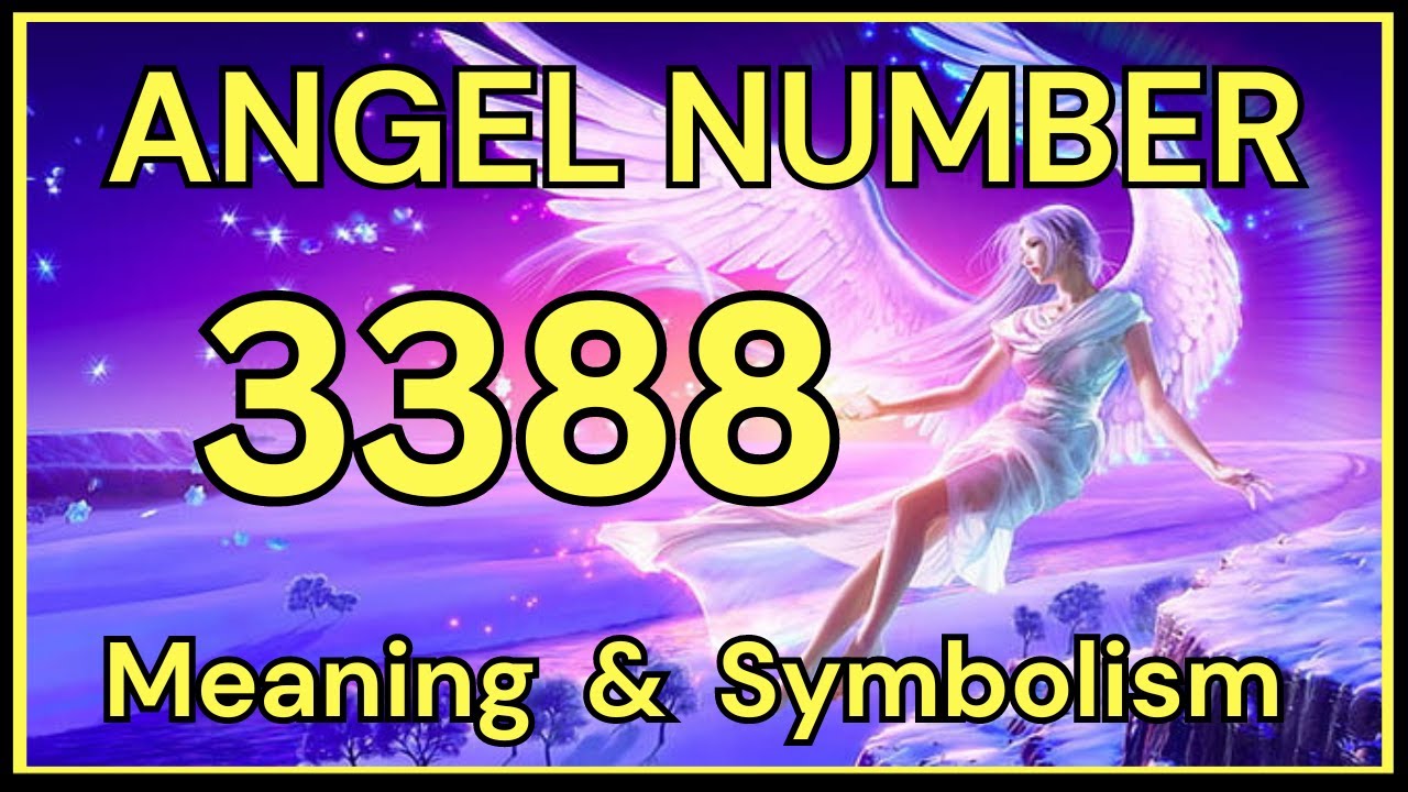 3388 angel number