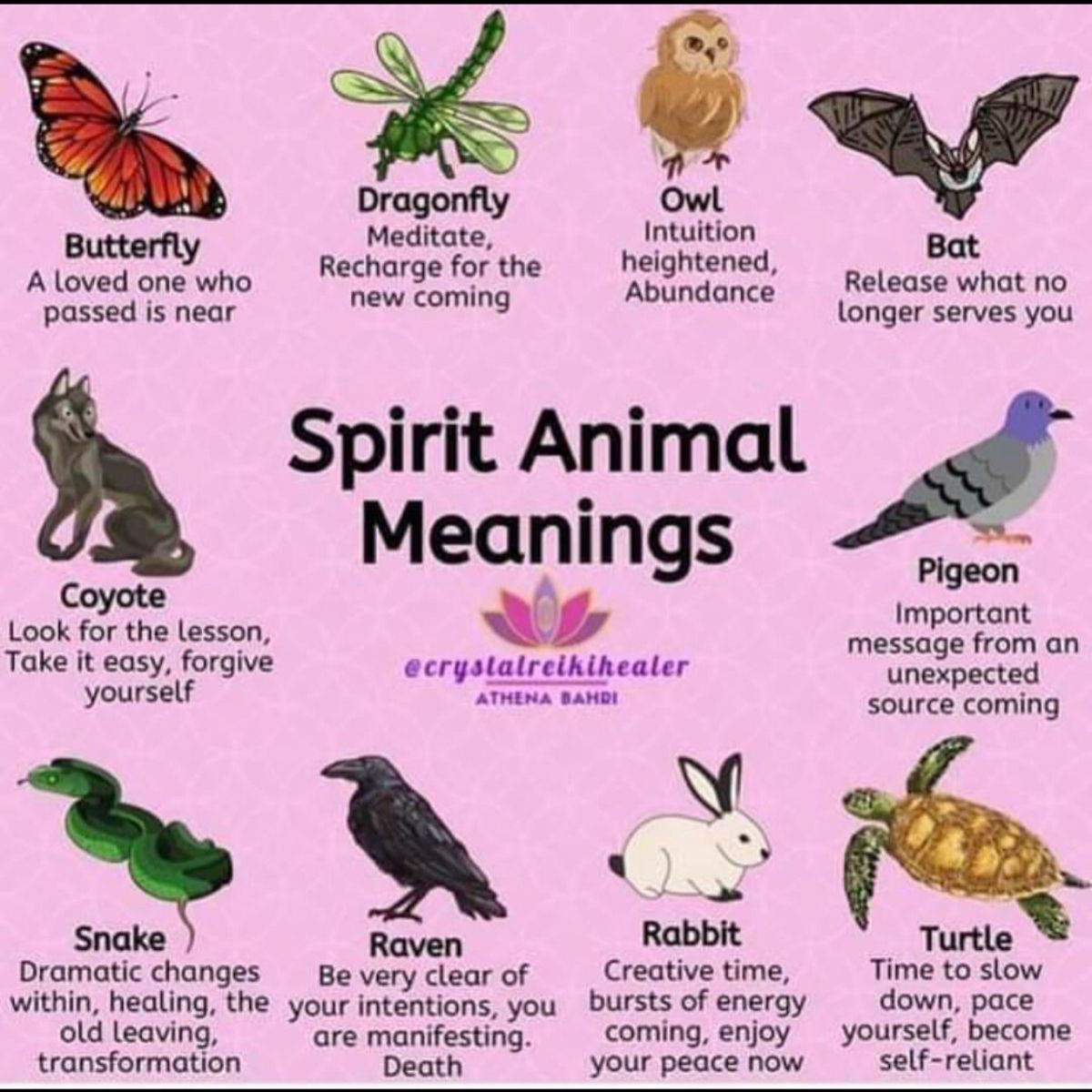 spirit animal meaning in hindi