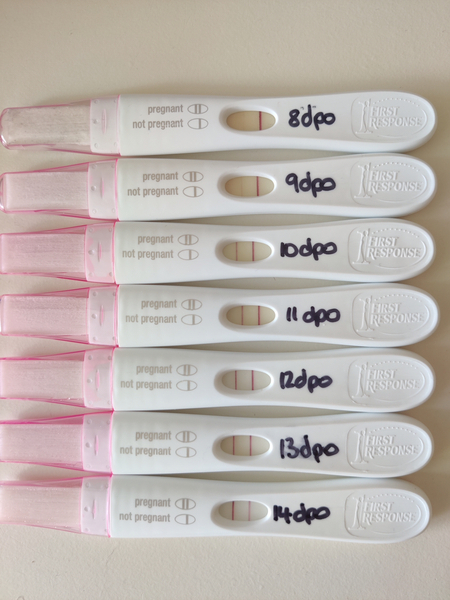 8 dpo negative test